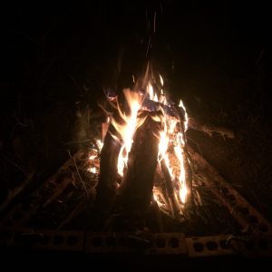 vigilfire